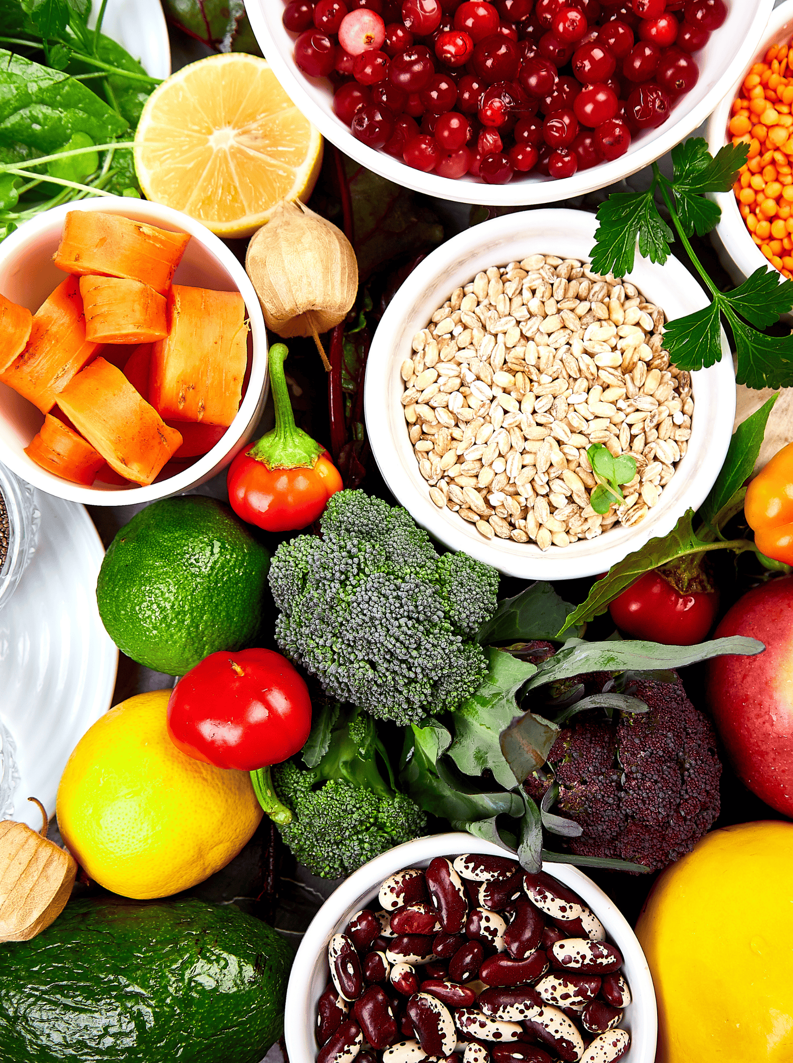 Nutrition illustration